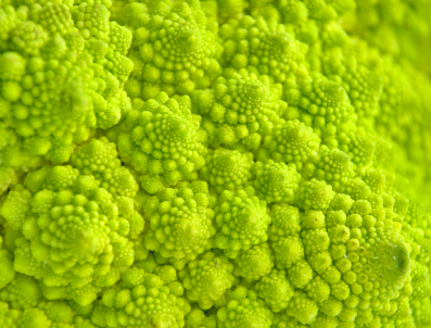 istock_broccoli-florets-fractal1.jpg