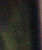 imagem de Karla Denise